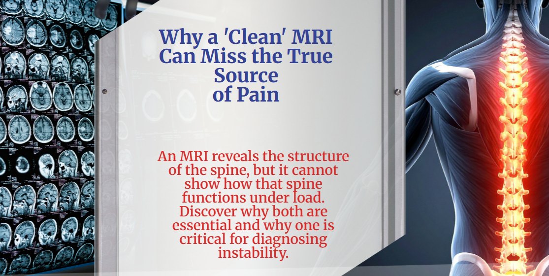 Spinal Biomechanics and Clinical Kinematics directory header